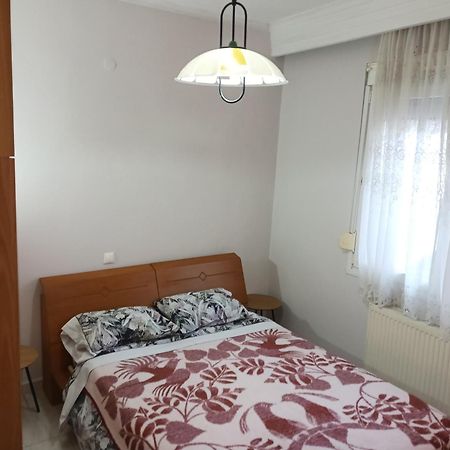 Apartment Marios Soufli Ευρύχωρη Γκαρσονιέρα, 60M2 Στο Κέντρο Souflíon Zewnętrze zdjęcie